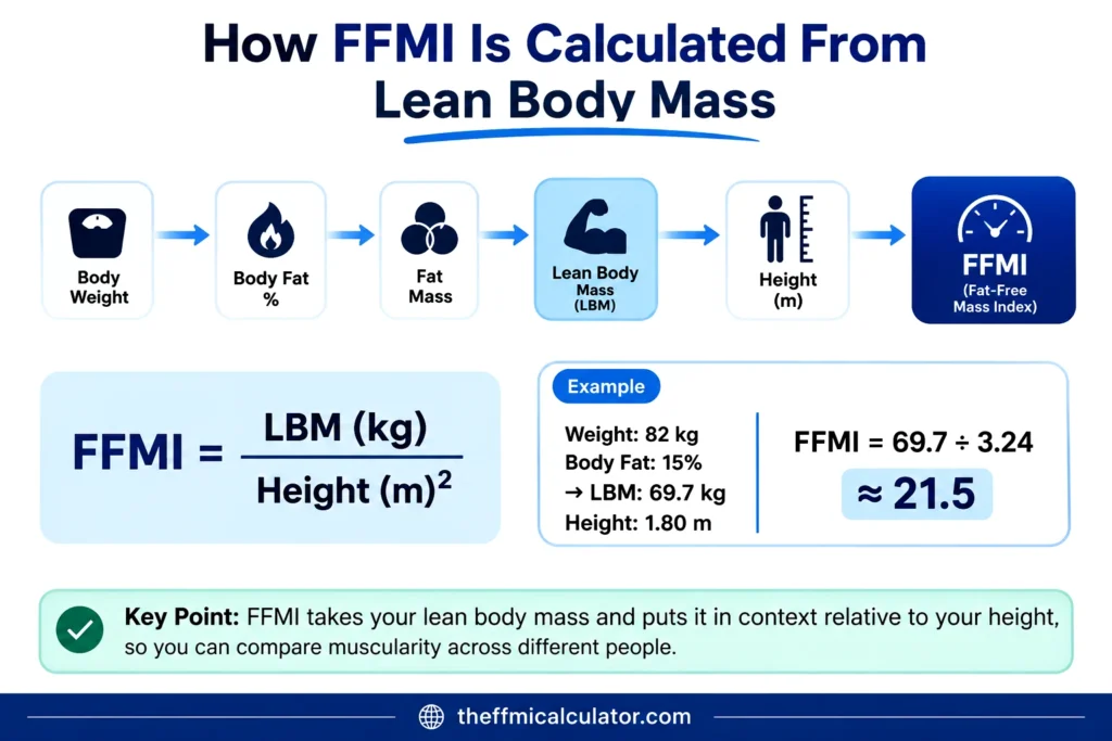 How lean body mass is used to calculate FFMI from body fat and height